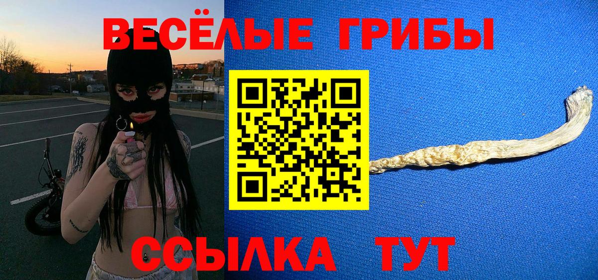 Псилоцибиновые грибы мухоморы Дзержинский